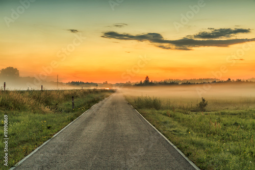 Fog covers the road