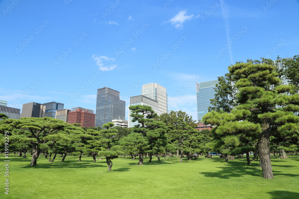 Obraz premium 東京