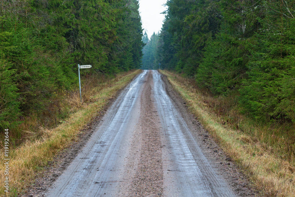 Dirt road in the forest Dirt road in the forest