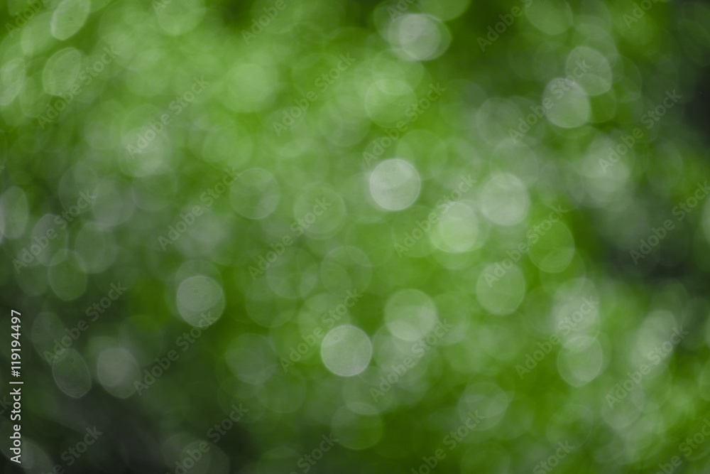 Fototapeta premium fresh spring bokeh abstact background