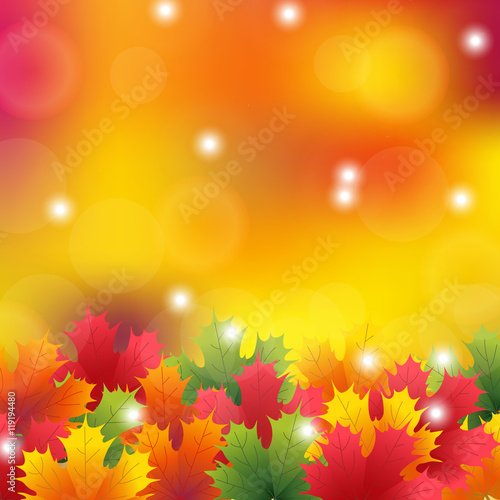 Autumn maple leaves background