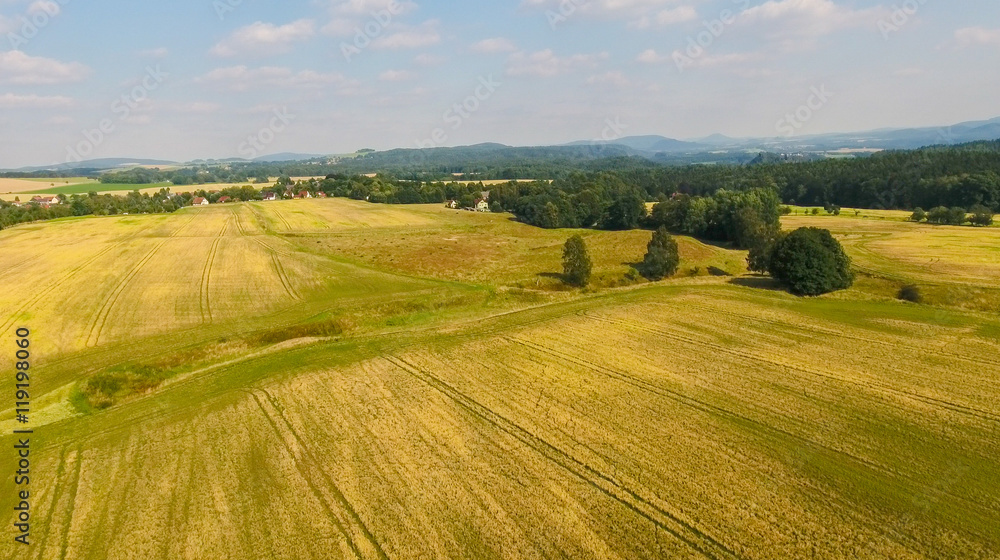 Aerial view of countryside meadows in summer