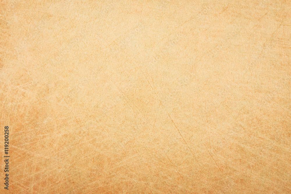 Fototapeta premium Wood texture background