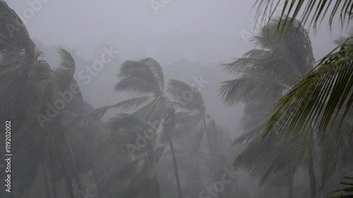 Bad Weather and Low Season on Tropical Island. Palm Trees in Rain