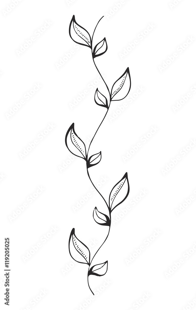 pattern petals on the stem drawing on a a white background pattern petals on the stem drawing on a a white background