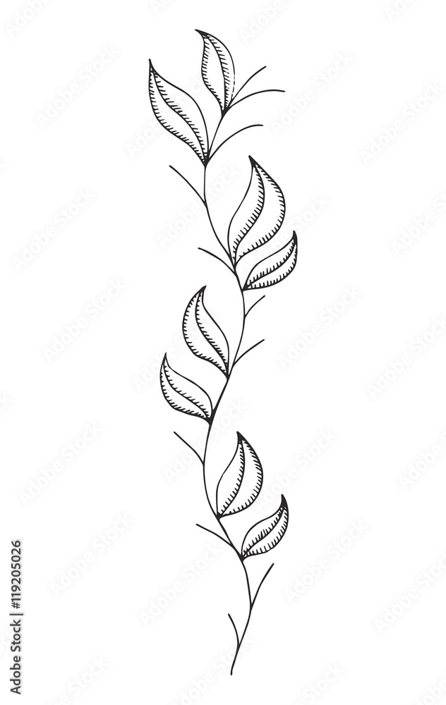 pattern petals on the stem drawing on a a white background