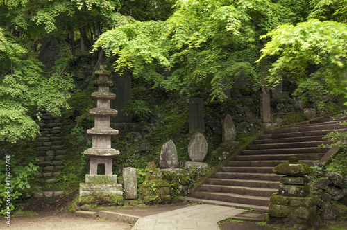 Naklejka świątynia las japoński pejzaż