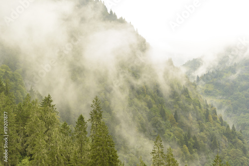 beautiful foggy day on mountains © murattellioglu