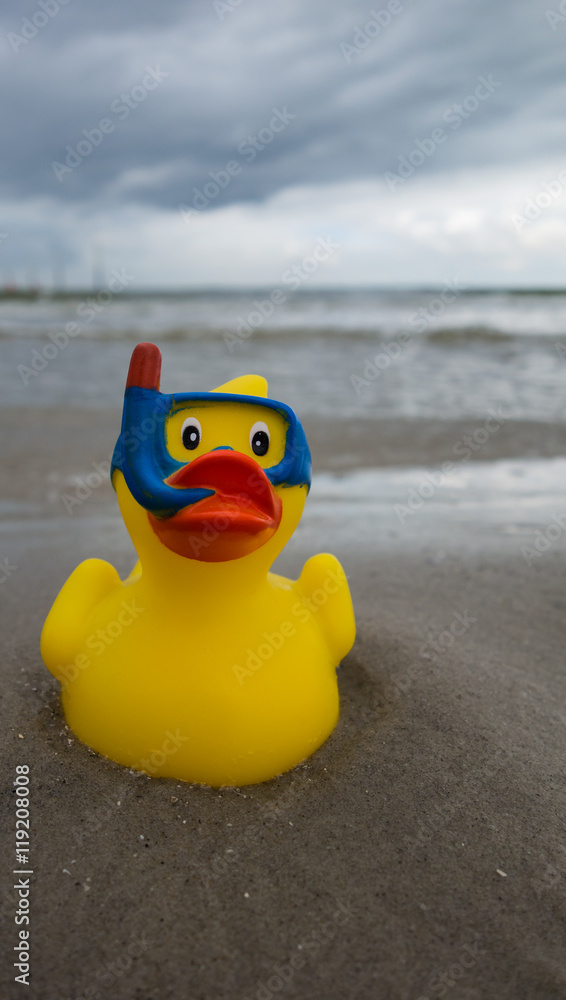 Plastikente mit Taucherbrille StockFoto Adobe Stock