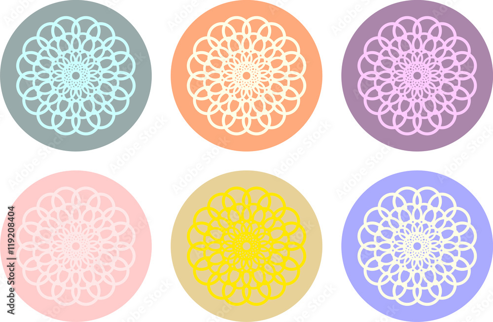 Flowers dahlias of multiple colors 1 Flowers dahlias of multiple colors 1