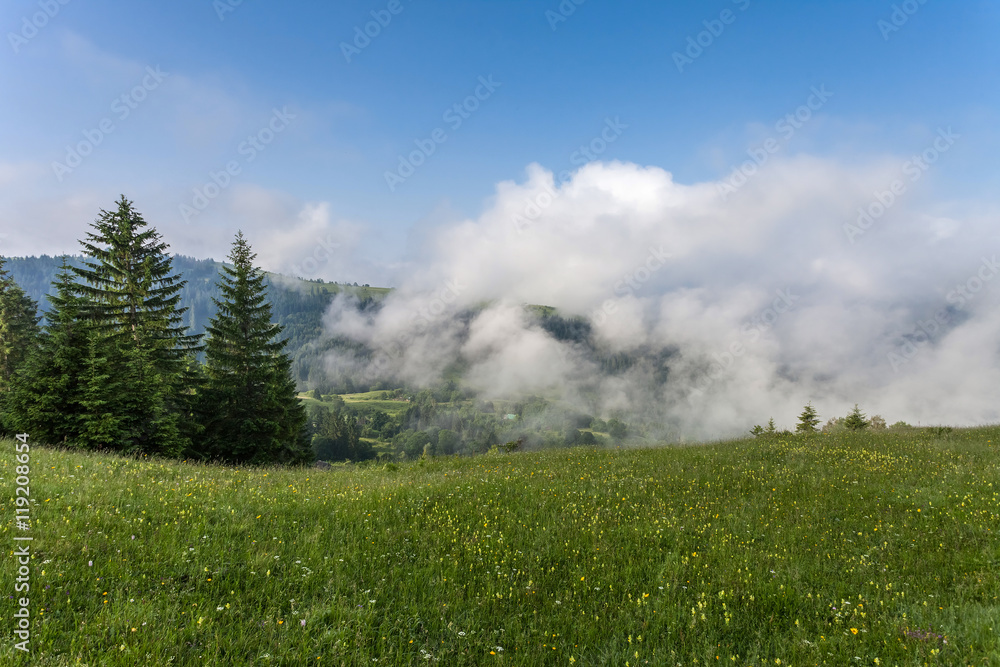 Obraz premium Foggy mountain landscape under morning sky. Carpathian mountains, Ukraine.
