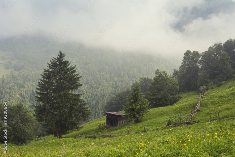 Foggy mountain landscape under morning sky. Carpathian mountains, Ukraine. Foggy mountain landscape under morning sky. Carpathian mountains, Ukraine.