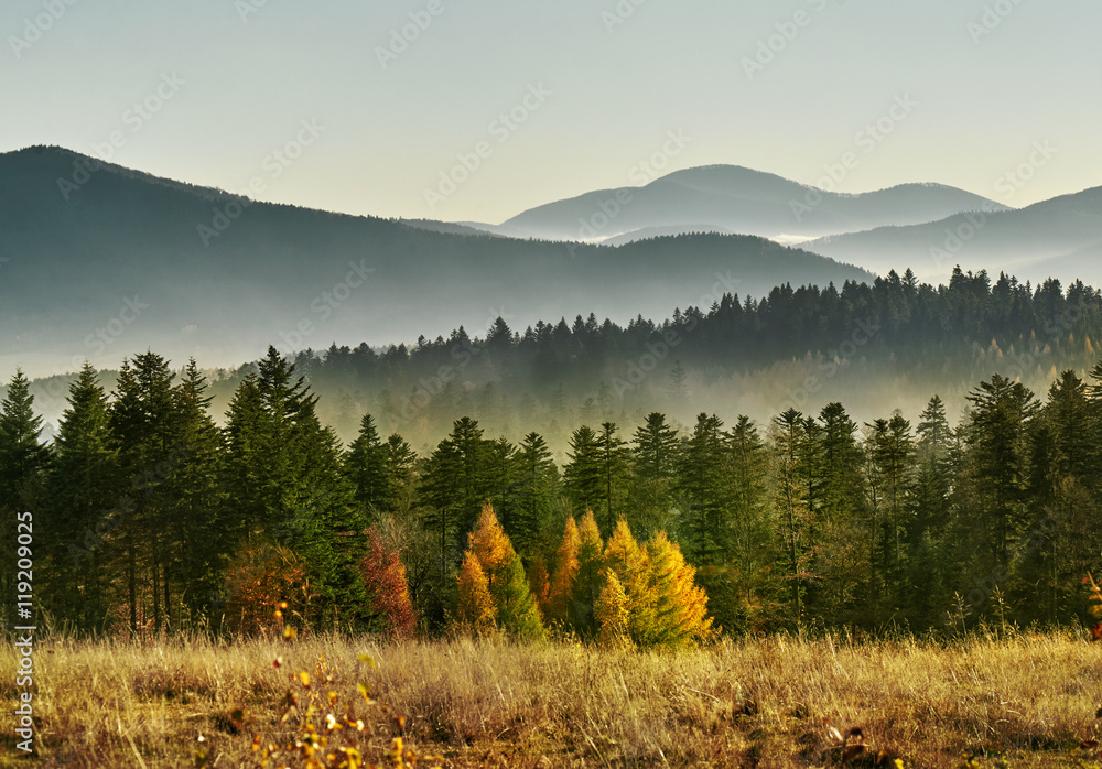 Fototapeta premium Niesamowity krajobraz górski z mgłą. Beskidy. Polska. M