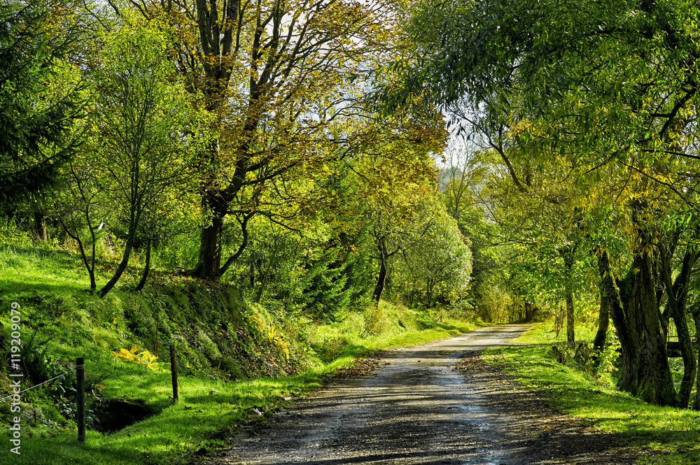 Naklejka premium Summer scene with road. Road in summer mountains. Beskid Mountai