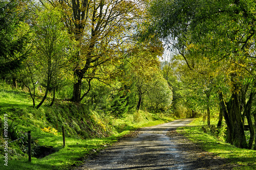 Summer scene with road. Road in summer mountains. Beskid Mountai