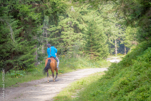 Girl Riding a brown Horse