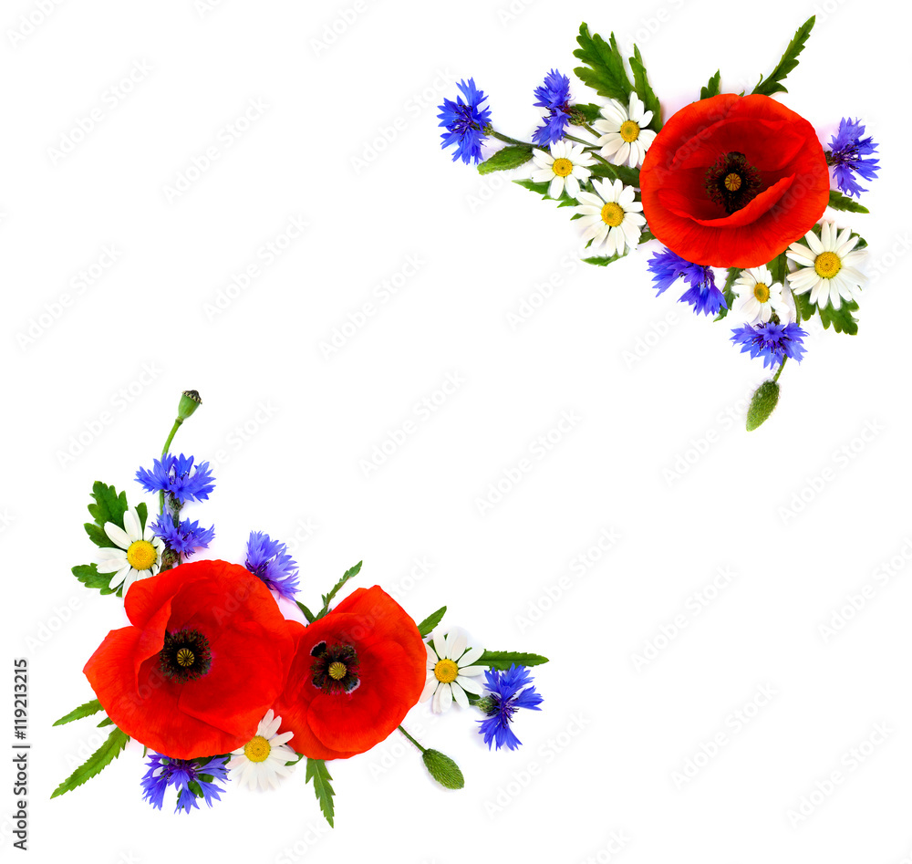 Fototapeta premium Frame of red poppies, cornflowers and chamomile on white background with space for text. Flat lay