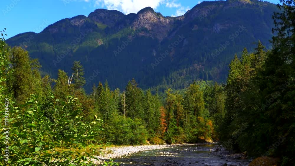 4K Mountain Landscape Fir Trees, River and Maple Tree Forest Foreground