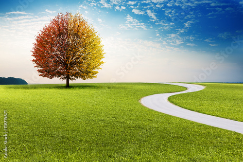 Weg durch Landschaft