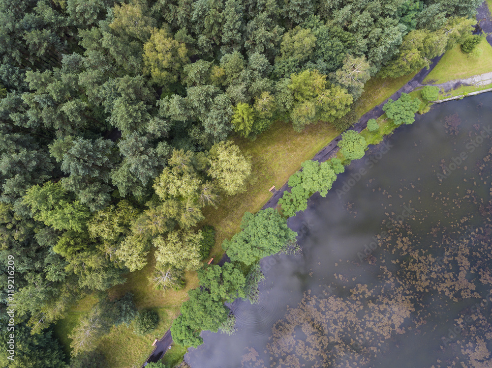 Summer landscape. Green trees at riverbank in Poland.