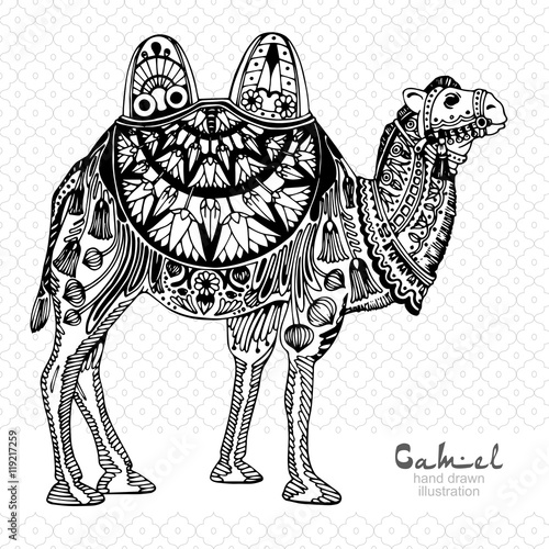  Patterned camel