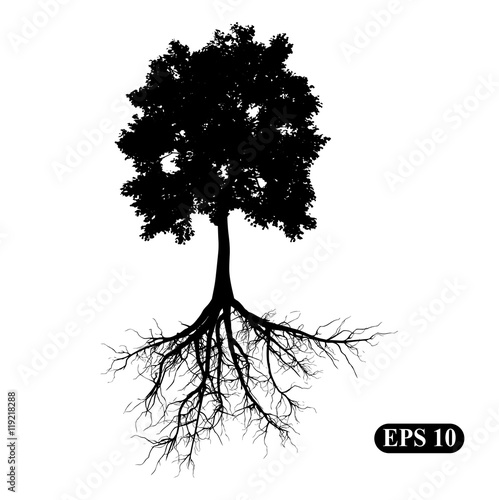 Tree with roots