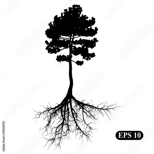 Tree with roots