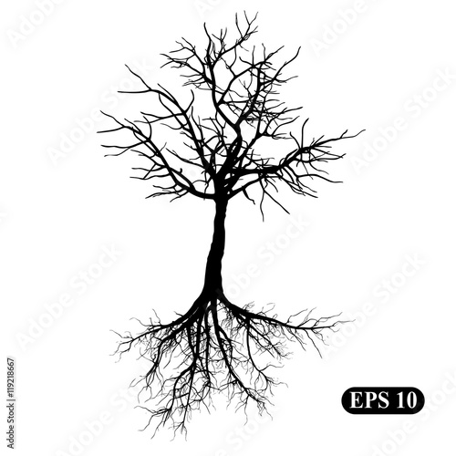 Tree with roots