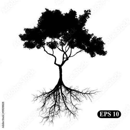 Tree with roots