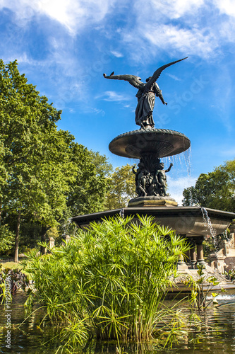 Bethesda Fountain in Centra...