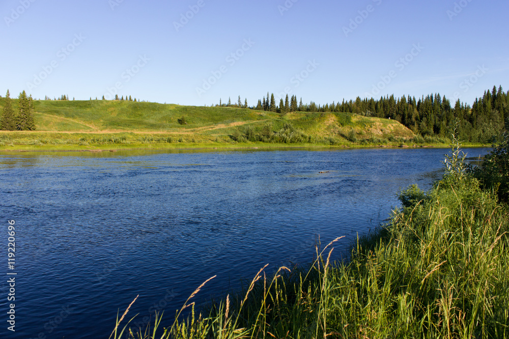 Summer landscape with river and forest Summer landscape with river and forest