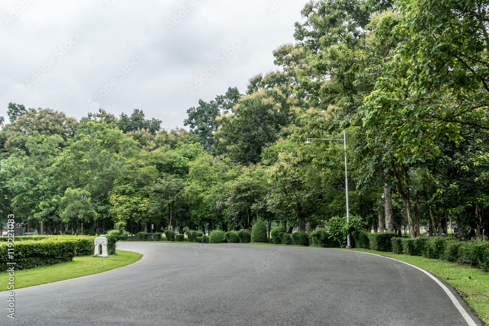 custom made wallpaper toronto digitalRoad in the park