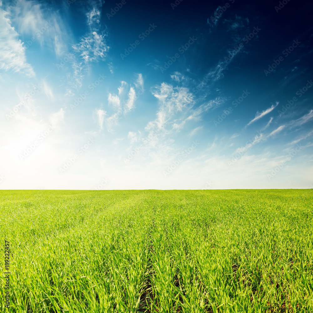 Obraz premium green field and deep blue sunset with clouds