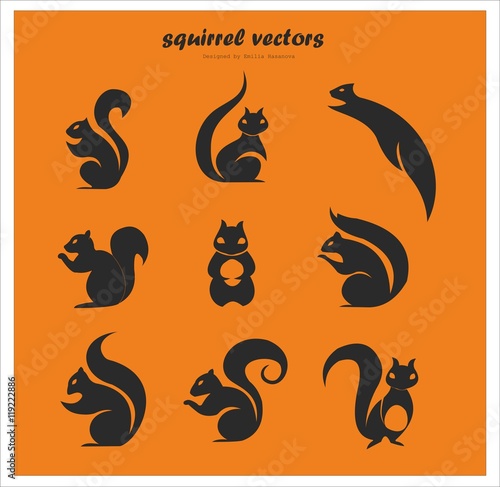 Cute black squirrel logo vectors