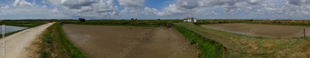 les chemins de la Seudre de Mornac à la Tremblade les chemins de la Seudre de Mornac à la Tremblade