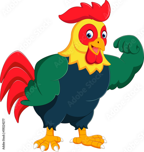 Cartoon chicken rooster posing © hermandesign2015