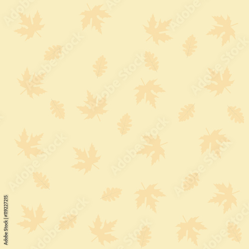 Autumn falling maple and oak leaves, pattern, isolated on white background