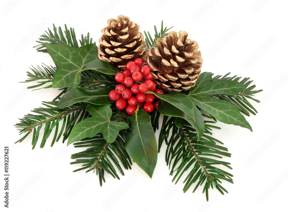 Fototapeta premium Winter Floral Display