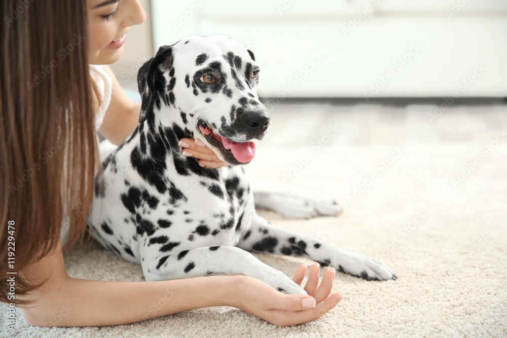 Owner with her dalmatian dog lying on a carpet
