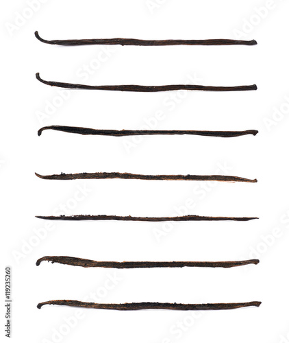 Dried vanilla pod fruit isolated