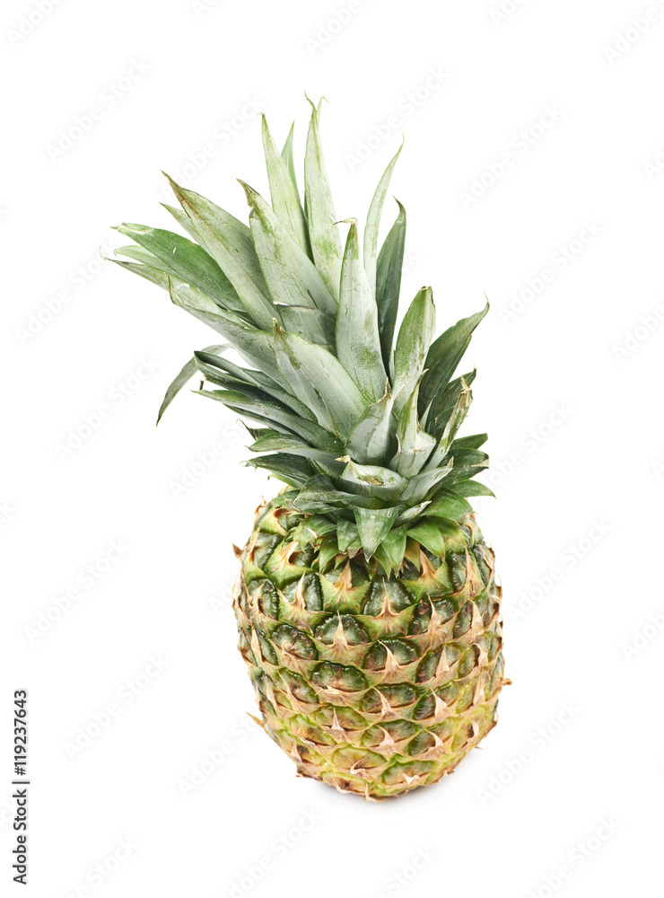 Ripe pineapple fruit isolated