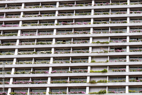 Facade building with windows and flowers