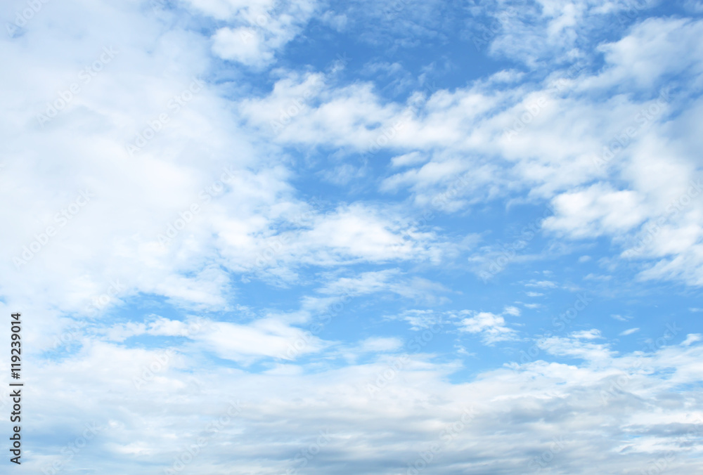 Fototapeta premium blue sky