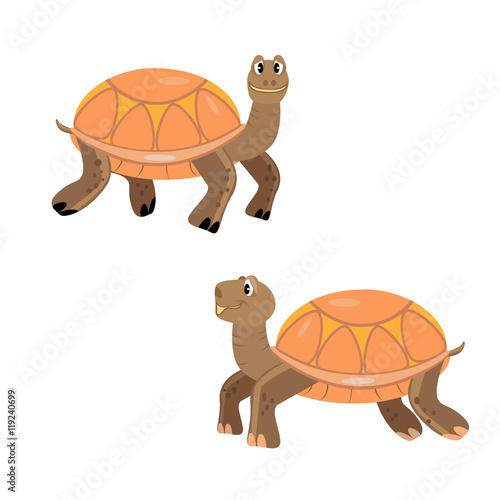 Turtles cartoon, orange, smile, isolated
