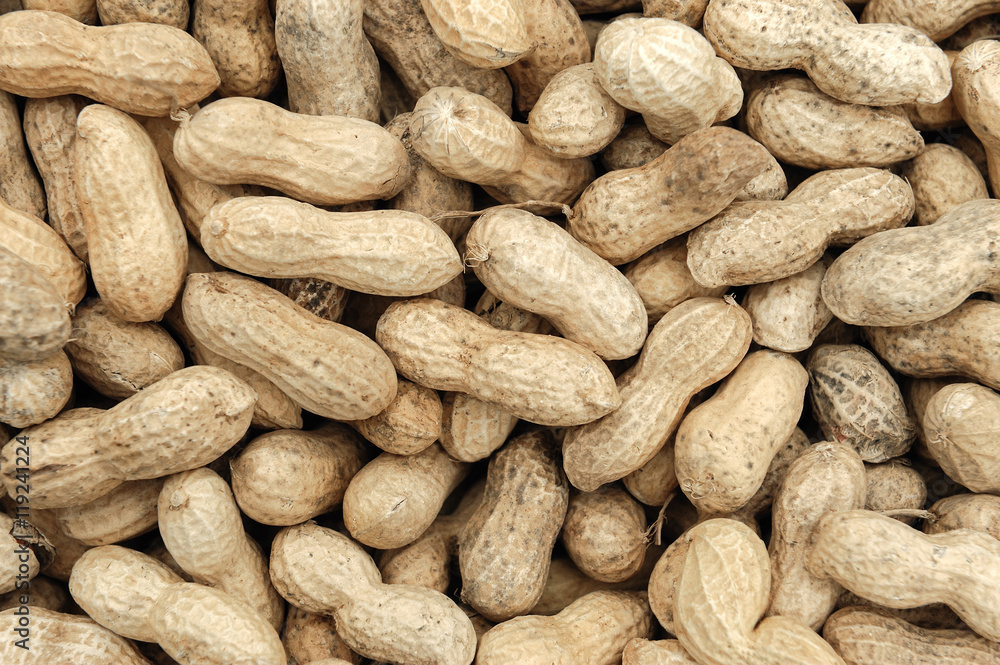 peanut in shells, food background peanut in shells, food background
