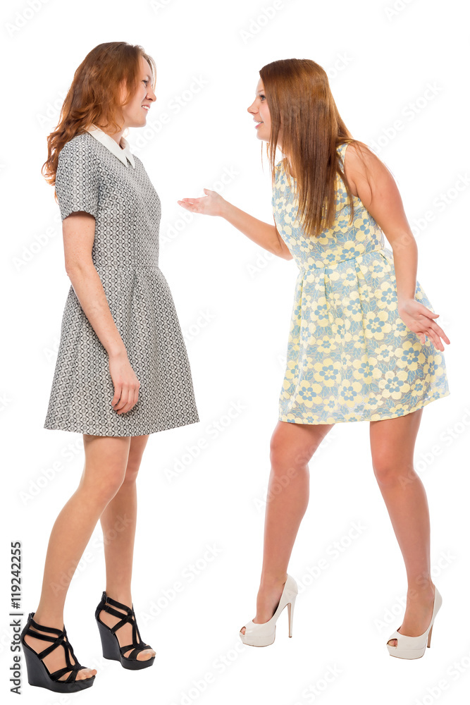 Vertical portrait of a arguing girls on a white background Vertical portrait of a arguing girls on a white background