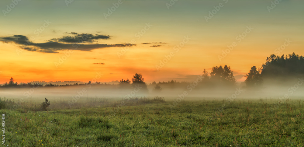 Fog over fields