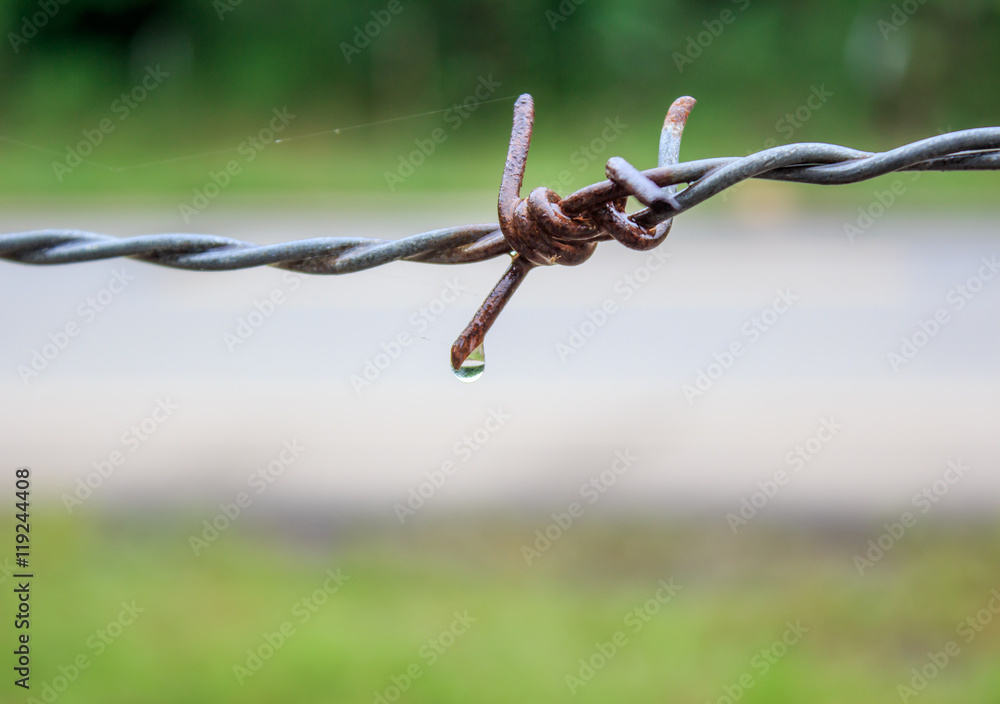 water eat barbed wire water eat barbed wire