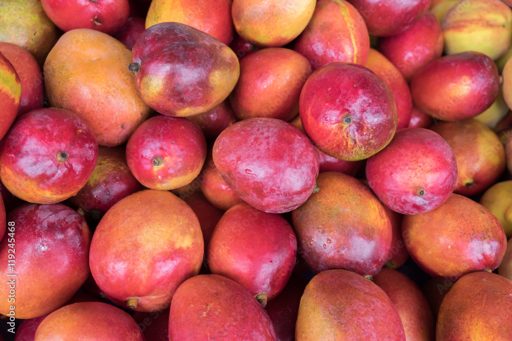 New mango for sale at city market New mango for sale at city market