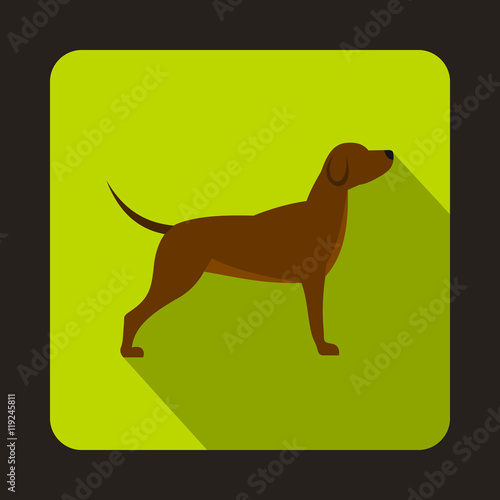Hunting dog icon in flat style with long shadow